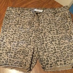 Avenue/Loralette  Leopard Print Shorts